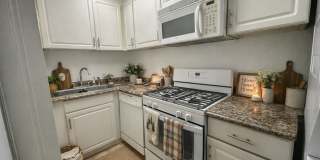 True 1 Bedroom Near FSU Gallery 4