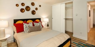 ReNew Dash Point Gallery 16