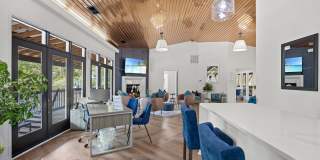 The Willow Gallery 29