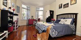 Huge 4 bed in Cleveland Circle Gallery 4