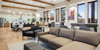 Acero Harvest Station Gallery 19