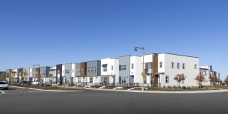 Cyrene at Meadowlands Gallery 50