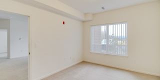 Times Square Apartments Gallery 15