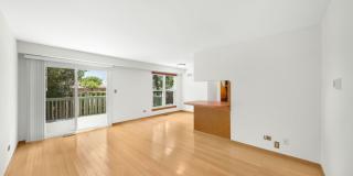 1555 N Gatewood Avenue Gallery 3