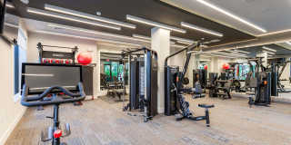 Mosaic Palms Gallery 11