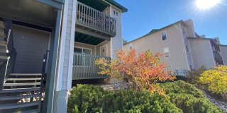 One Bedroom Condo with Mountain Views Gallery 1