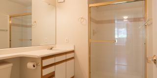 Conveniently Located Modern Two Bedroom Condo For Rent in Westwood Condominiums Gallery 16