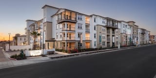 Senior Housing- Palmia, Age 55+ Luxury Apartments Gallery 46