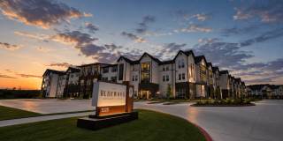The Bluewood Gallery 1