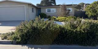 3282 Michael Drive Gallery 1