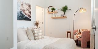 Welcome Canary Gallery 18
