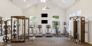 Bridgestone Gallery 20