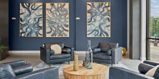 Novi at Concord Gallery 54