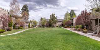 Native Sun Gallery 18