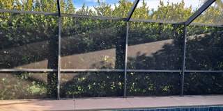Beautiful 3 Bedroom +Den Pool Home for Rent!!! Gallery 26