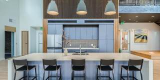 Knox at Lynnwood Gallery 44