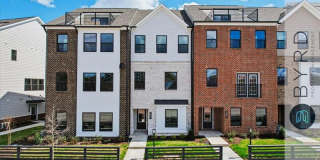 231 Golden Haze Aly Gallery 1