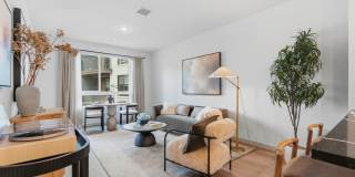 Solaris Encinitas Gallery 2