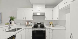 19119 Vineyard Ln Gallery 8