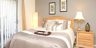 2400 Wickersham Ln, #1018 Gallery 7