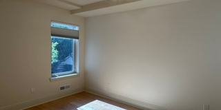Epic REA- Serene 2 BR/1 BA Flat w/Private Deck & Yard in Lone Mountain Gallery 34