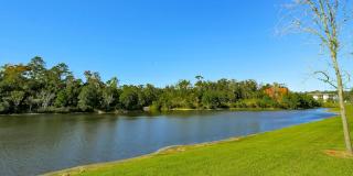8226 Green Parrot RD Unit 308 Gallery 23