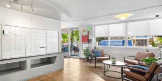 Roomy Studio With Views Of The Capitol Gallery 11