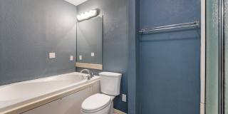 3 Walter Place Gallery 9