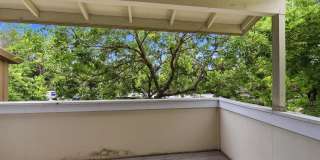 2386 Balme Dr Gallery 11