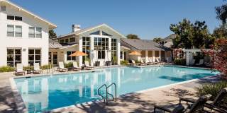 The Markham Apartments Gallery 1