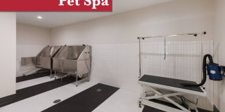 Fox & Hounds Gallery 23