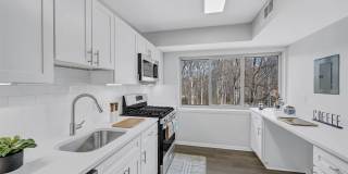 Reston Glade Gallery 1