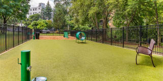 Potomac Towers Gallery 45