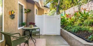 1622 Swallowtail Gallery 1