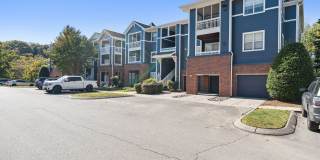 Avana Lexington Gallery 50