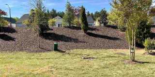 806 Bristol Bridge Drive Gallery 30