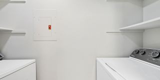 Avana Chestnut Hill Gallery 19