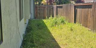 Summer Field Area Gallery 36