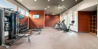 The Sullivan Gallery 17