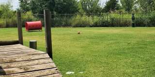 The Erica Gallery 14