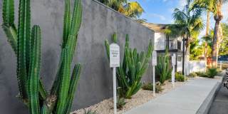 Pacific Palms Apartment Homes Gallery 24