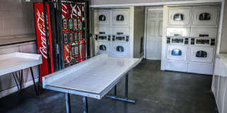 Spring Pine Gallery 16