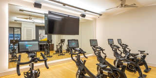 Domain Heights Gallery 13