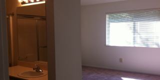3 Bedroom 2 Bath Home in Mace Ranch Gallery 8