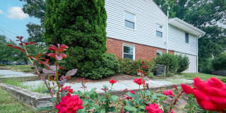 2924 GRACEFIELD Road Gallery 55