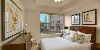 Hills at Sandy Station Gallery 8