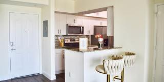 Intracoastal Yacht Club Gallery 45