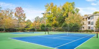 Lake St. James Gallery 6