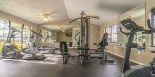 Laurel Oaks Gallery 17