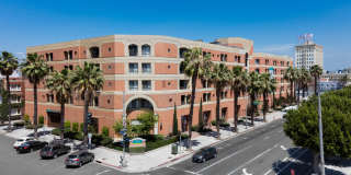 Elevate Long Beach Gallery 5